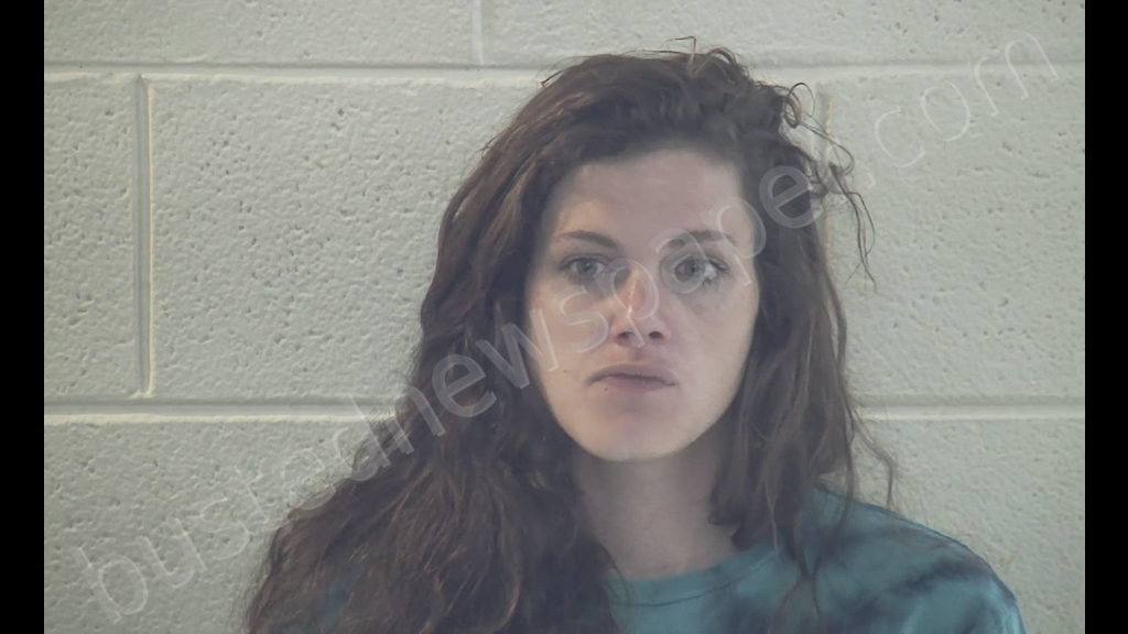 ELIZABETH JORDAN RICHARDSON #, Pulaski County, Kentucky - 2019-04-25 22:09:00