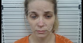 JESSICA PAIGE EARNHEART | 2019-04-26 13:33:00 Scott County, Missouri Booking