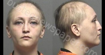 DISHMAN,NATASHA LYNN | 2019-04-27 09:49:00 Saline County, Kansas Booking
