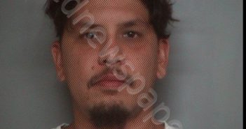 <B>VILLANUEVA</B>, GEORGE <B>MICHAEL</B> #, Polk County, Florida - 2019-04-27