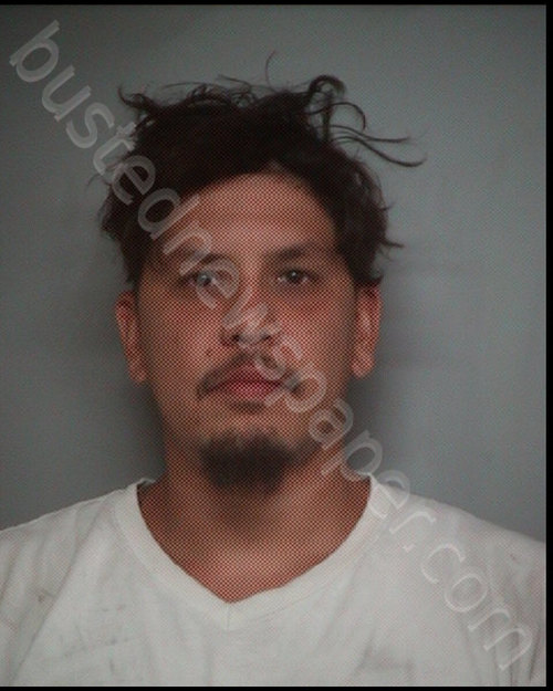 VILLANUEVA, GEORGE MICHAEL #, Polk County, Florida - 2019-04-27