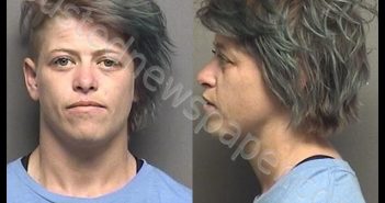 CHAMPION,MELISSA LOUISE | 2019-04-28 02:42:00 Saline County, Kansas Booking