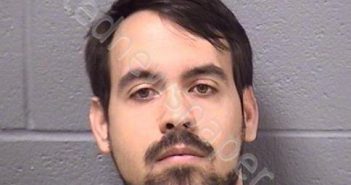 MICHAEL, <B>AARON</B> J #, Will County, Illinois - 2019-04-28 18:08:00