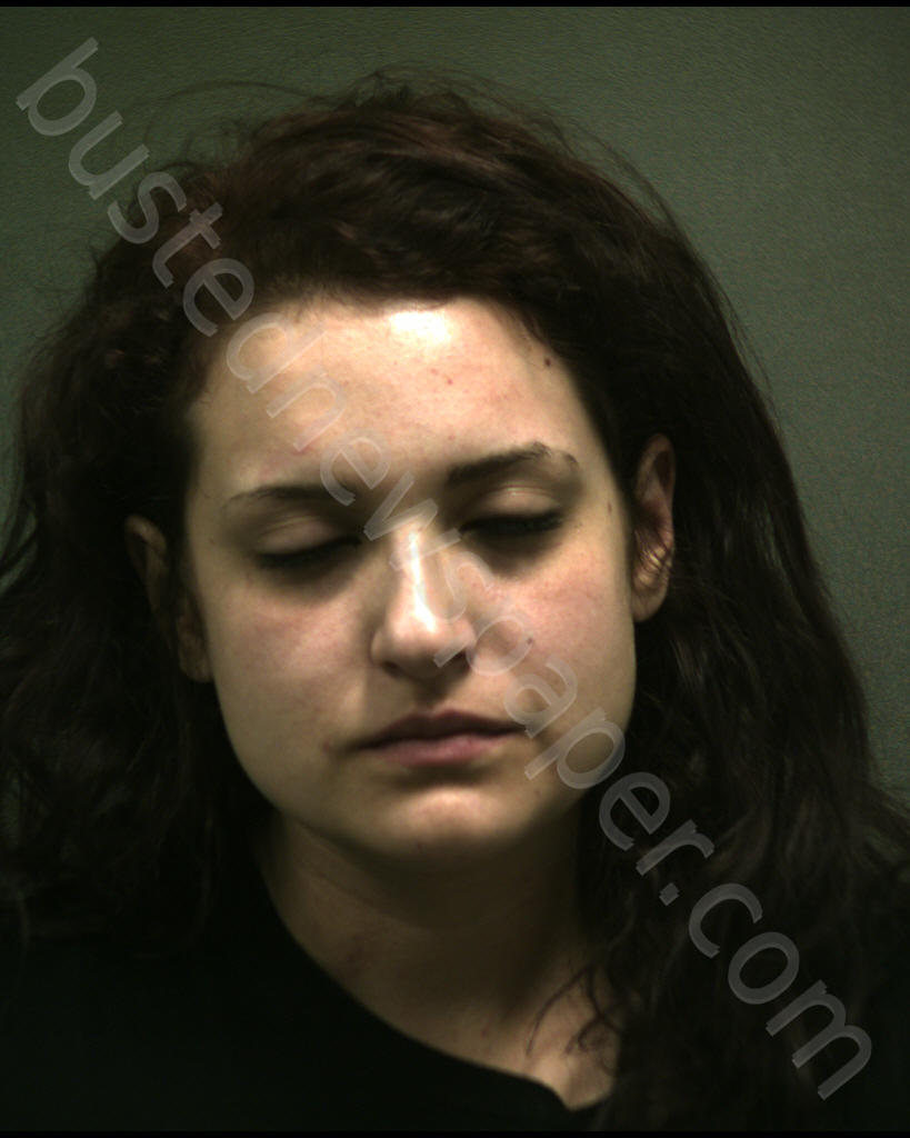 HERNANDEZ, HOLLY MORGAN #, Randall County, Texas - 2019-04-28