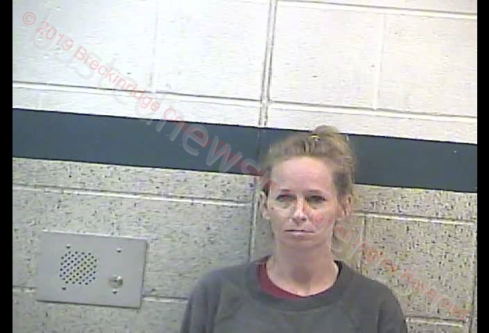 STEPHANIE JEAN BEIER #, Breckinridge County, Kentucky - 2019-04-29 13:29:00