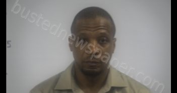 TERRY LAVON WARREN | 2019-04-29 16:01:00 Western Tidewater, Virginia Booking