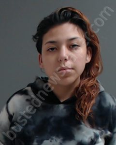 CASTANEDA, ALIJAH ALEXIS | 2019-04-29 Hidalgo County, Texas Booking