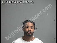 JOHNSON MANDINKA L | 2019-04-29 Sandusky County, Ohio Booking