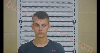 BRIAN S TAYLOR | 2019-05-01 19:18:00 Taylor County, Kentucky Booking