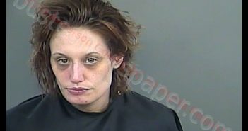 ROBIN NICOLE SAXON | 2019-05-01 04:22:00 Anderson County, South Carolina Booking