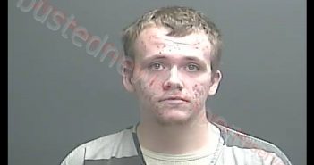MATHEW W BOWMAN | 2019-05-01 16:00:00 Knox County, Indiana Booking