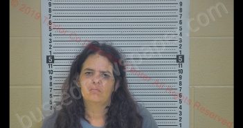 ELIZABETH A MCELROY | 2019-05-02 18:25:00 Taylor County, Kentucky Booking