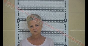 LISA L BURTON | 2019-05-03 00:06:00 Taylor County, Kentucky Booking