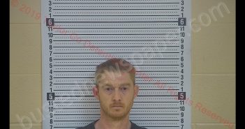 ANTHONY S NELSON | 2019-05-03 20:57:00 Taylor County, Kentucky Booking