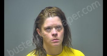 BILLIE JO TAYLOR | 2019-05-03 21:18:00 Isabella County, Michigan Booking