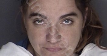 MORRISON, AMBER NICHOLE | 2019-05-04 00:08:00 Ellis County, Texas Booking