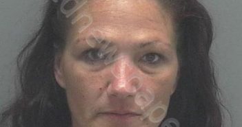 <B>IPPOLITO</B>, <B>JENNIFER</B> <B>LYNN</B> #, Lee County, Florida - 2019-05-04 11:03:00