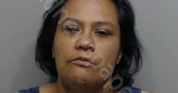 MORENO, CLOVIA | 2019-05-04 Hays County, Texas Booking