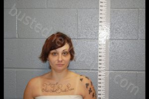 ASHLEY NICOLE STORZ | 2019-05-06 17:59:56 Bates County, Missouri Booking