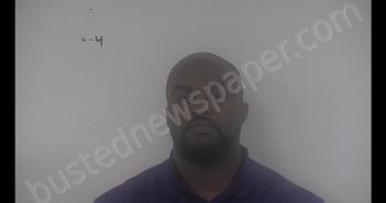 MICHAEL LASHAUN DURANT | 2019-05-07 13:15:00 Western Tidewater, Virginia Booking