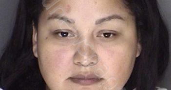 BUSTAMANTE, CARMELA HERNANDEZ | 2019-05-07 13:07:00 Ellis County, Texas Booking