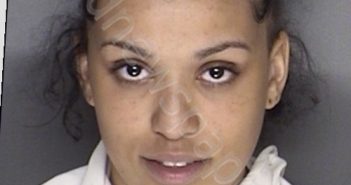 WARD, ANGEL MICHELLE | 2019-05-07 01:45:00 Ellis County, Texas Booking