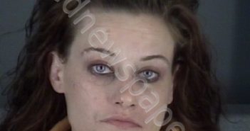 <B>SMITH</B>, <B>DIANA</B> <B>KRISTINE</B> #, Pasco County, Florida - 2019-05-08 01:31:00