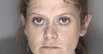 LYTLE, KIMBERLY FAY | 2019-05-08 04:10:00 Ellis County, Texas Booking