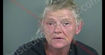 CHERI ANN CHAPMAN | 2019-05-09 00:03:00 Anderson County, South Carolina Booking