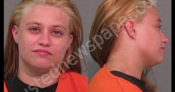 KELLY, ALENA DOUGLAS | 2019-05-10 13:55:30 York County, South Carolina Booking