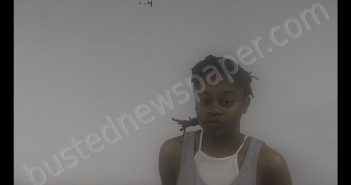 VICTORIA MARIE LITTLE | 2019-05-10 09:20:00 Western Tidewater, Virginia Booking