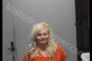 AMBER MARIE KORONA | 2019-05-11 16:30:00 Livingston County, Missouri Booking