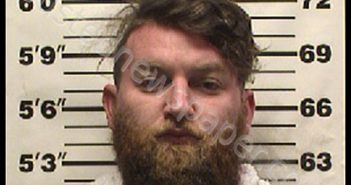 CARRINGTON, KYLER SCOTT | 2019-05-12 12:18:00 Navarro County, Texas Booking