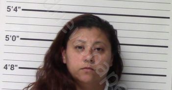 ARREOLA, MINDY GEORGETTE | 2019-05-13 Kerr County, Texas Booking
