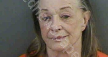 BRAUN,KAREN ELAINE | 2019-05-14 Collier County, Florida Booking