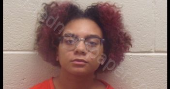 JACQUELINE GIBSON | 2019-05-15 15:28:00 Pickens County, Georgia Booking