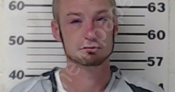 WALKER, <B>ADAM</B> <B>DAVID</B> #, <b>Henderson</b> County, Texas, Henderson County, Texas - 2019-05-16