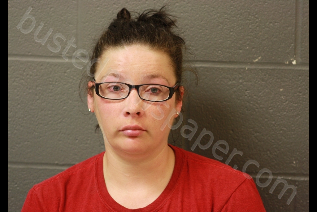 NATASHA DIANE DAVIS #, Cooper County, Missouri - 2019-05-17 22:51:00