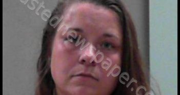 KING, SARAH ANN | 2019-05-18 02:46:00 Ohio County, West Virginia Booking