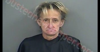 TRACY LYNN SMITH | 2019-05-18 18:08:00 Anderson County, South Carolina Booking