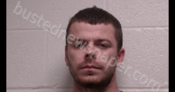 <B>LUDY</B>, <B>THAD</B> <B>MARTIN</B> #, Robertson County, Tennessee - 2019-05-19 15:58:00