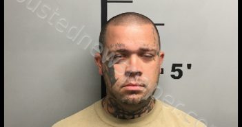 MULLINS, SKYLER <B>WILLIAM</B> #, Benton County, Arkansas - 2019-05-20 10:22:00