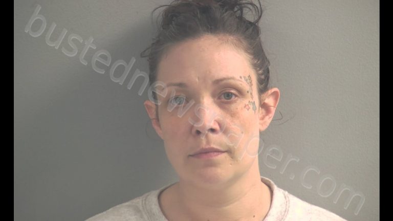 Erin B Hadden Mugshot | 2019-05-20 11:39:00 Logan County, Kentucky Arrest