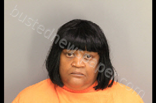 JOHNSON, KIMBERLY DENISE #, Florence County, South Carolina - 2019-05-20 15:04:00