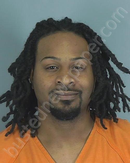 RAY LORENZO WIGGINS #, Spartanburg County, South Carolina - 2019-05-21 10:43:13
