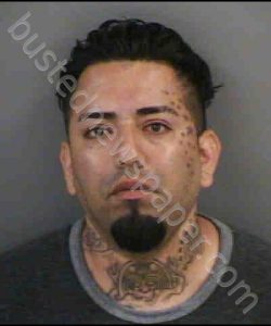 BUENO,JORGE | 2019-05-22 Collier County, Florida Booking