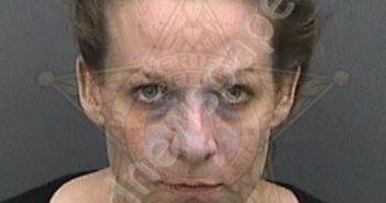 POUPARD, <B>ANGELA</B> MICHELLE #, Hillsborough County, Florida - 2019-05-24 19:42:00
