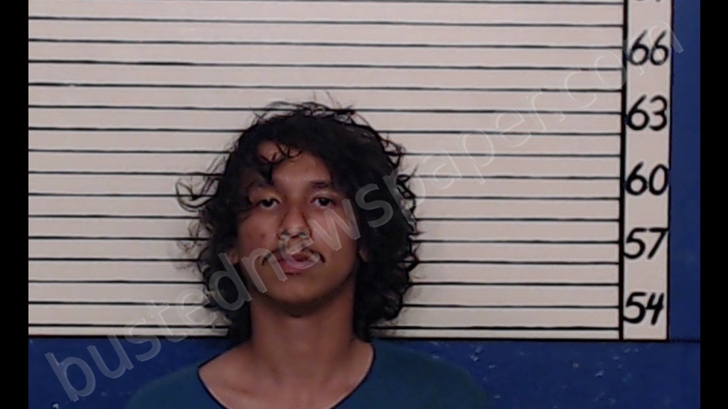 PLATAS-ORTIZ, JUAN DANIEL #, Comal County, Texas - 2019-05-24
