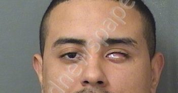 <B>FLORES</B>, <B>ARLES</B> <B>XAVIER</B> #, Palm Beach County, Florida - 2019-05-24 15:49:00