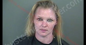 KAYLA MARIE LOWRY | 2019-05-25 10:21:00 Anderson County, South Carolina Booking